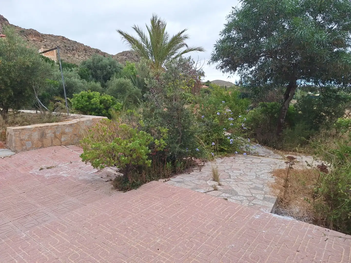 Jardín de Casa o chalet de alquiler en San Vicente del Raspeig / Sant Vicent del Raspeig con Jardín privado, Terraza y Trastero