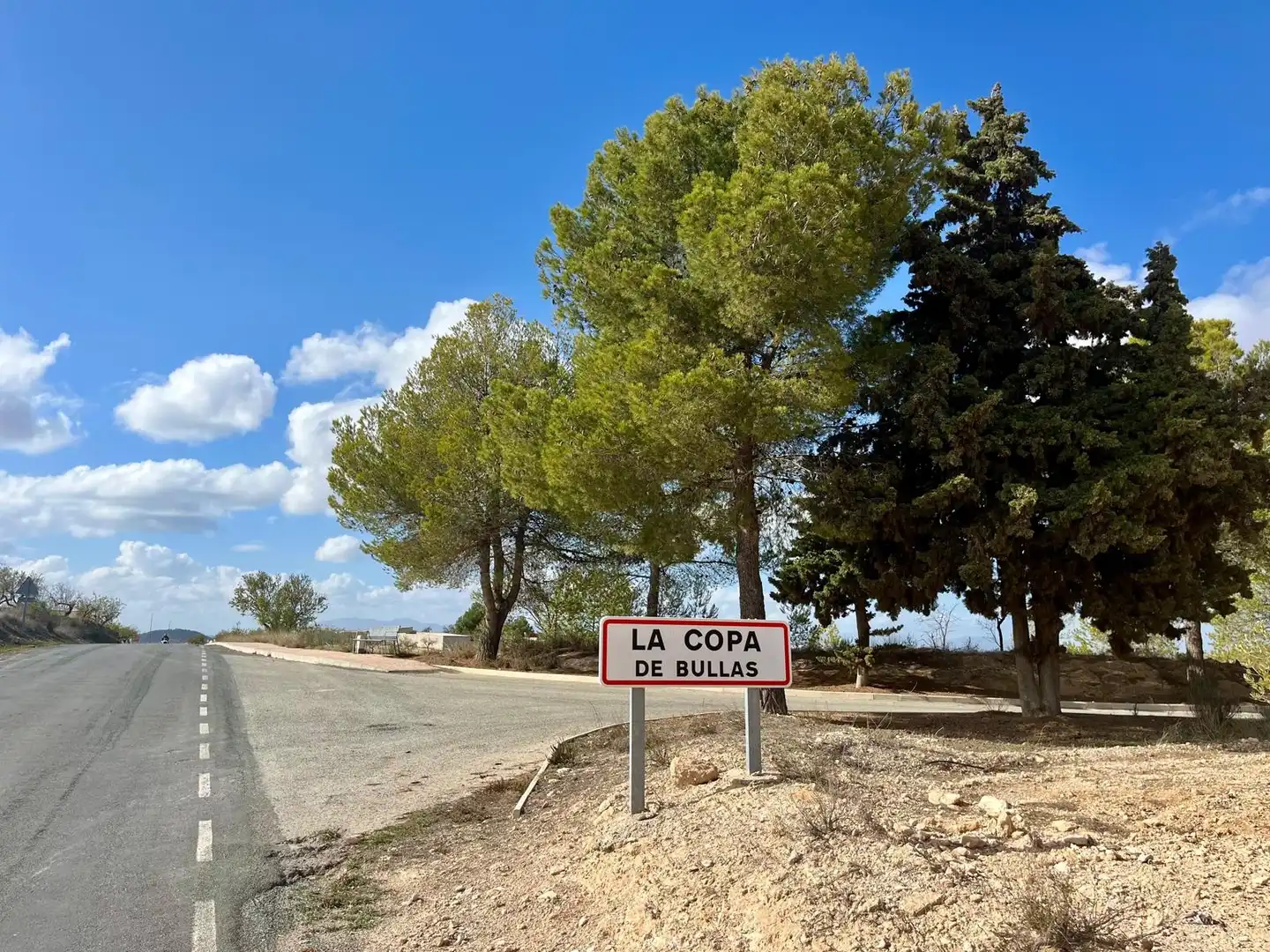 Lands and plots for sale in Bullas, imagen 10