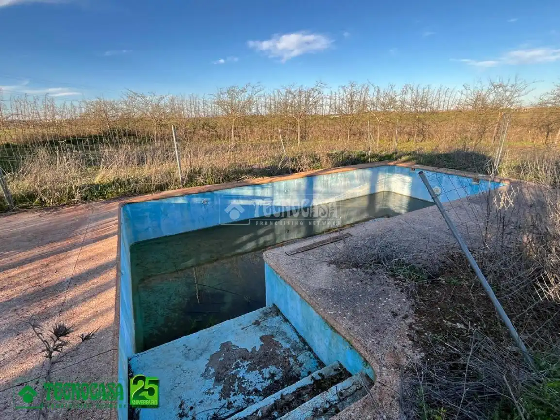 Piscina de Finca rústica en venta en Ciudad Real con Piscina
