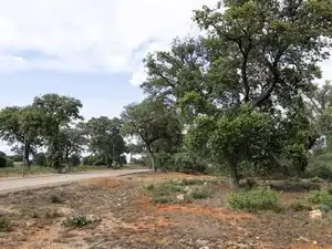 Houses for sale in Chiloeches
