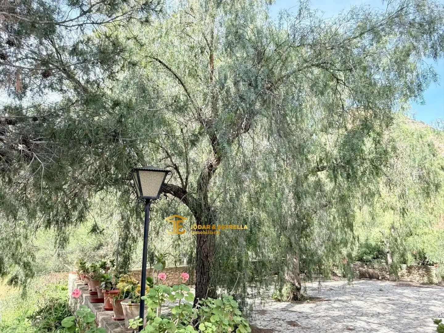 Jardín de Casa o chalet en venta en Lorca con Terraza, Trastero y Amueblado