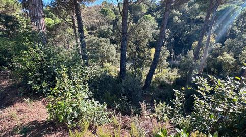 Photo 4 of Residential for sale in Carrer Garrofer, Aiguaviva Parc, Girona