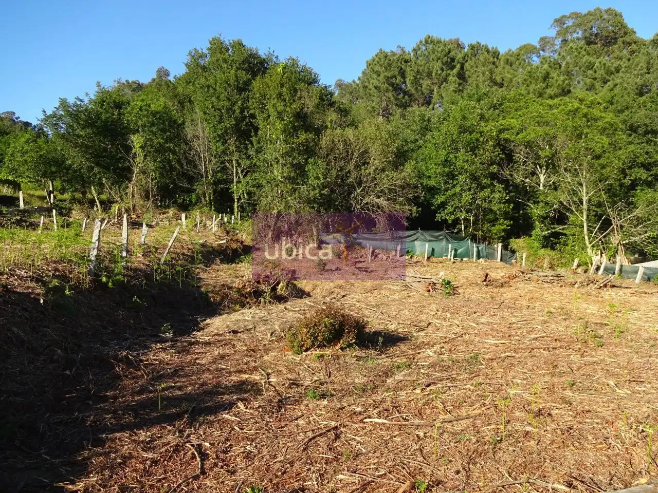 Lands and plots for sale in Salceda de Caselas, imagen 4