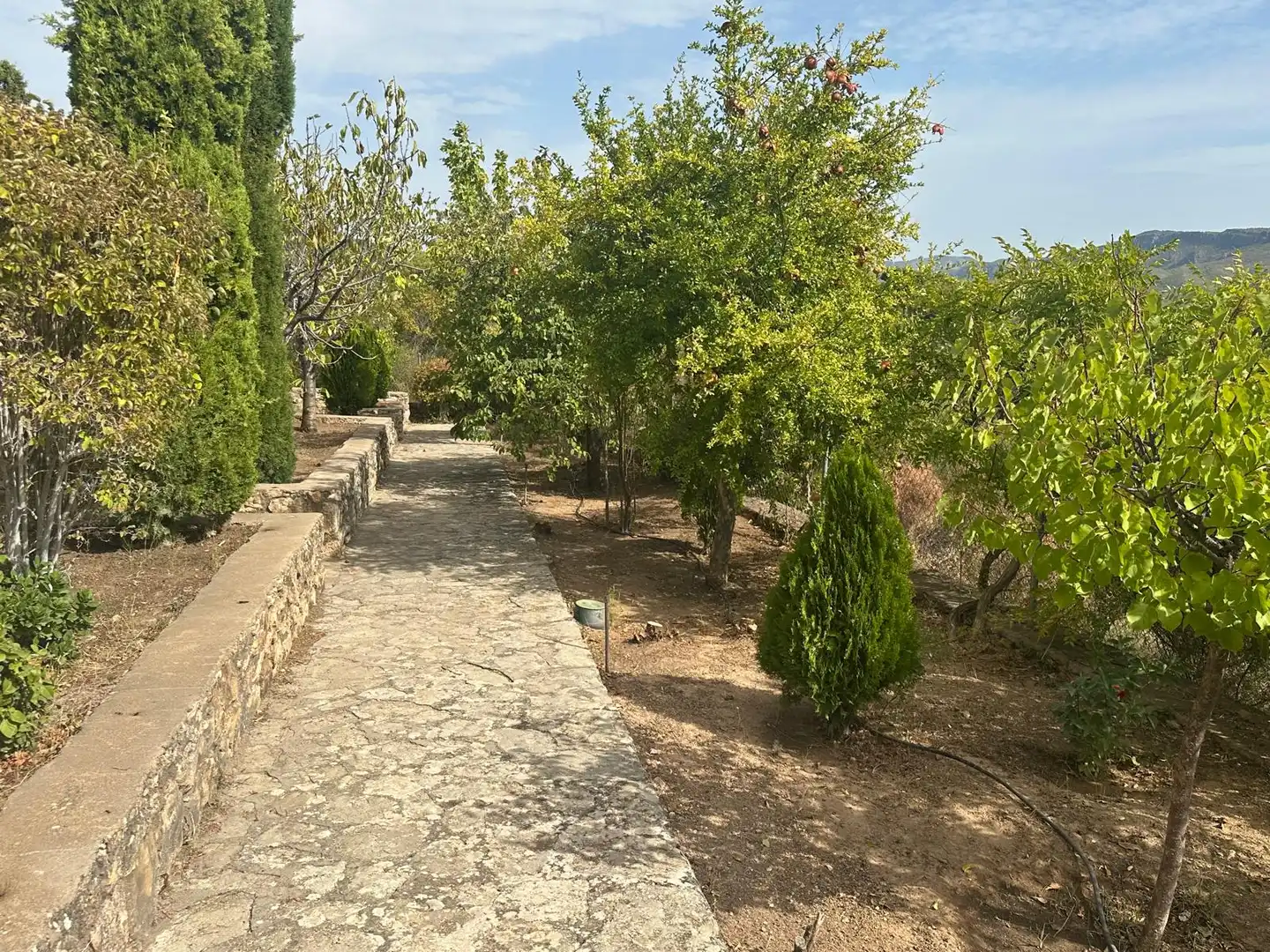 Xalet amb terrassa en venda a Albalate de Zorita, imagen 10