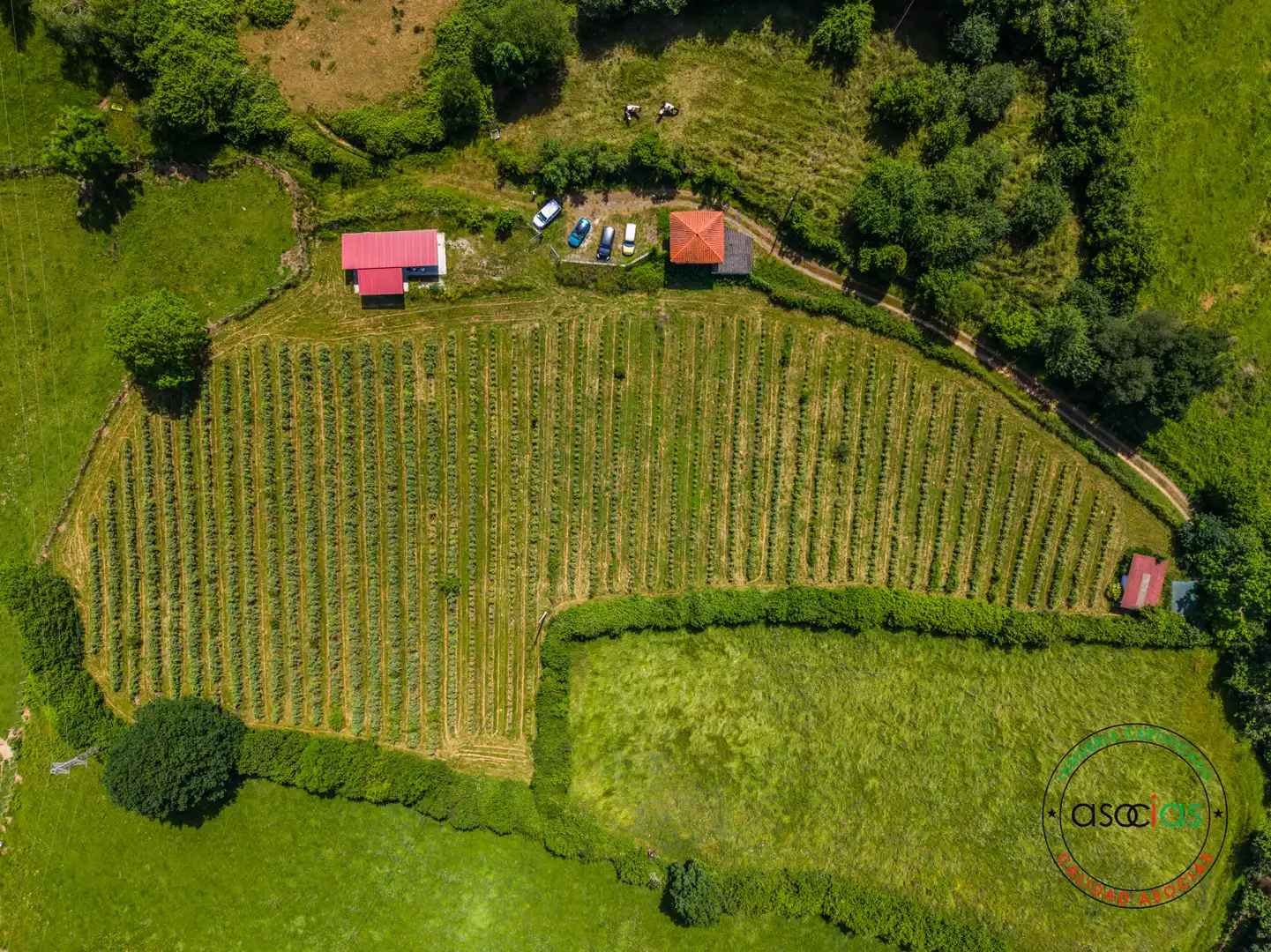 Rustikales Grundstück zum Verkauf in COALLA, imagen 3