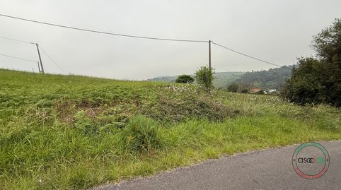FINCA EDIFICABLE EN TAMON CARREÑO, imagen 5