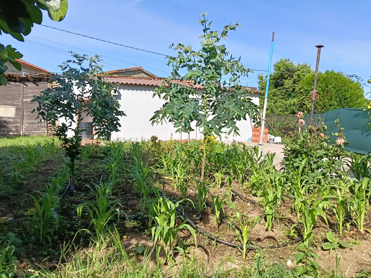 Einfamilien-Reihenhaus zum Verkauf in Carral mit Privatgarten und Abstellraum