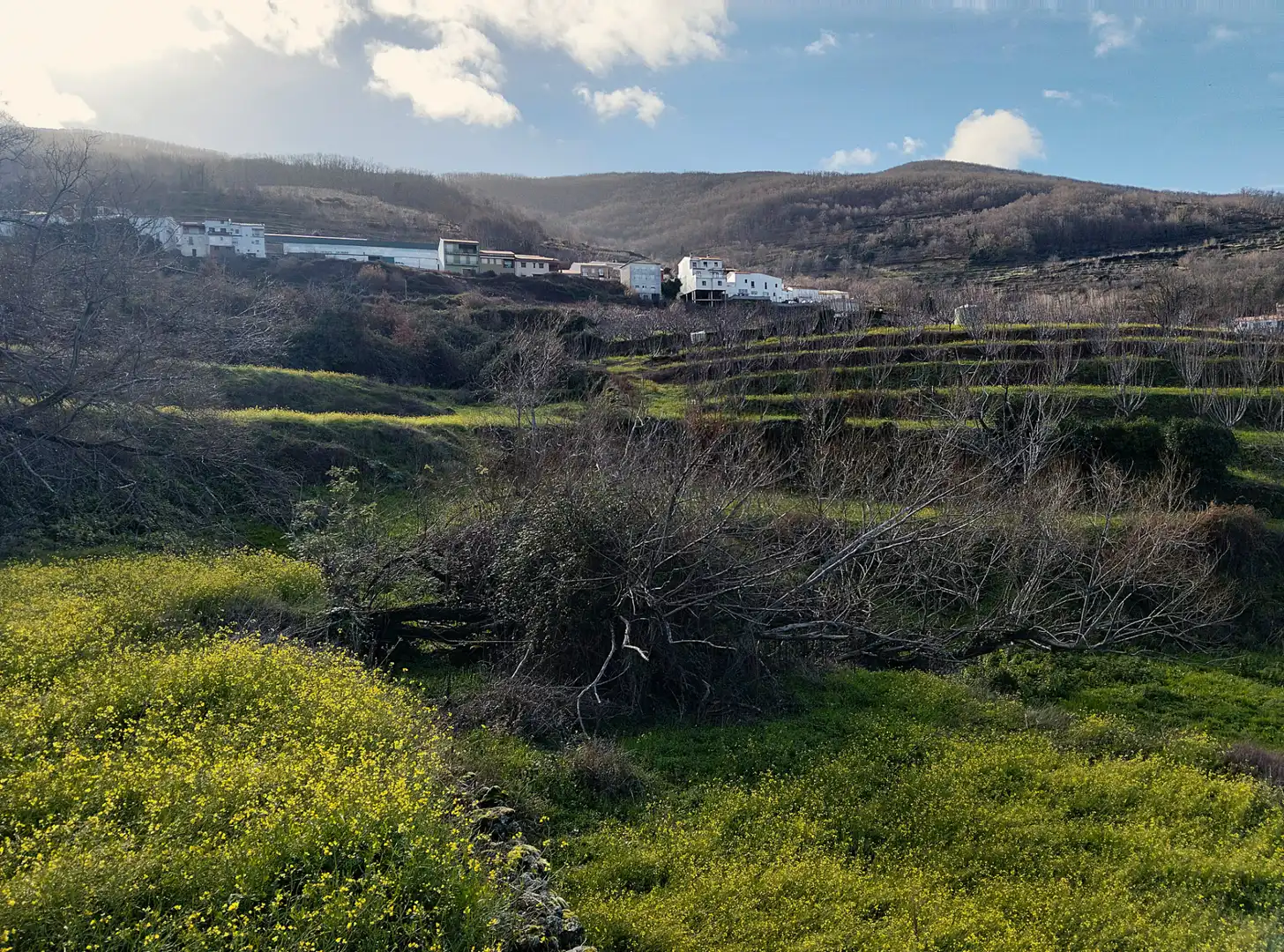 Land for sale in Casas del Castañar