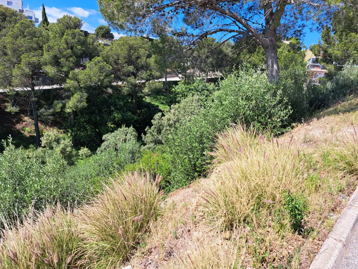 Residential zum Verkauf in Grifeu - Cap Ras - Els Estanys - Sant Genís