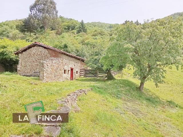 Terreno residencial en Venta en AYAN en Lena