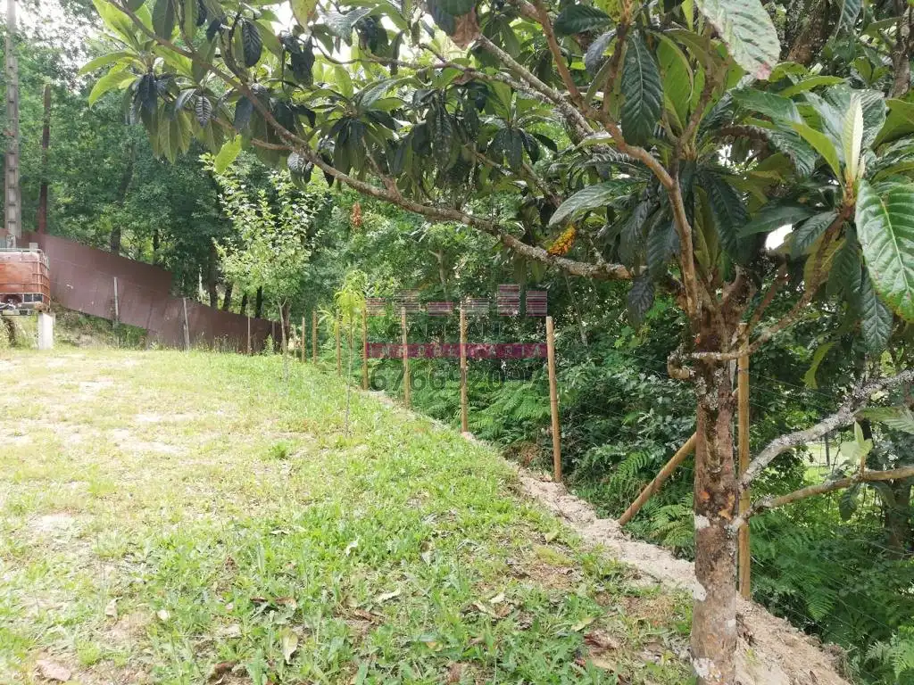 Finca rústica en venta en Ponteareas con Jardín privado, Terraza y Piscina