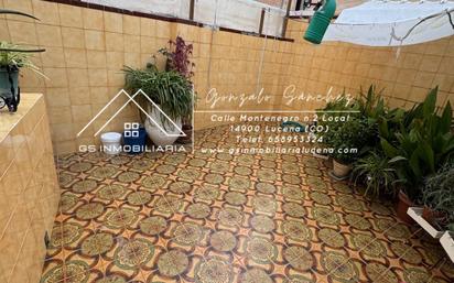 Terrace of Building for sale in Rute