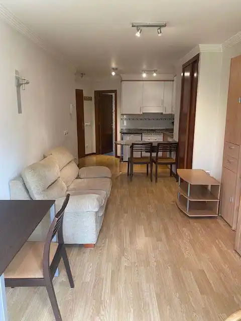 Wohnzimmer von Wohnung zur Miete in Oviedo  mit Heizung und Möbliert