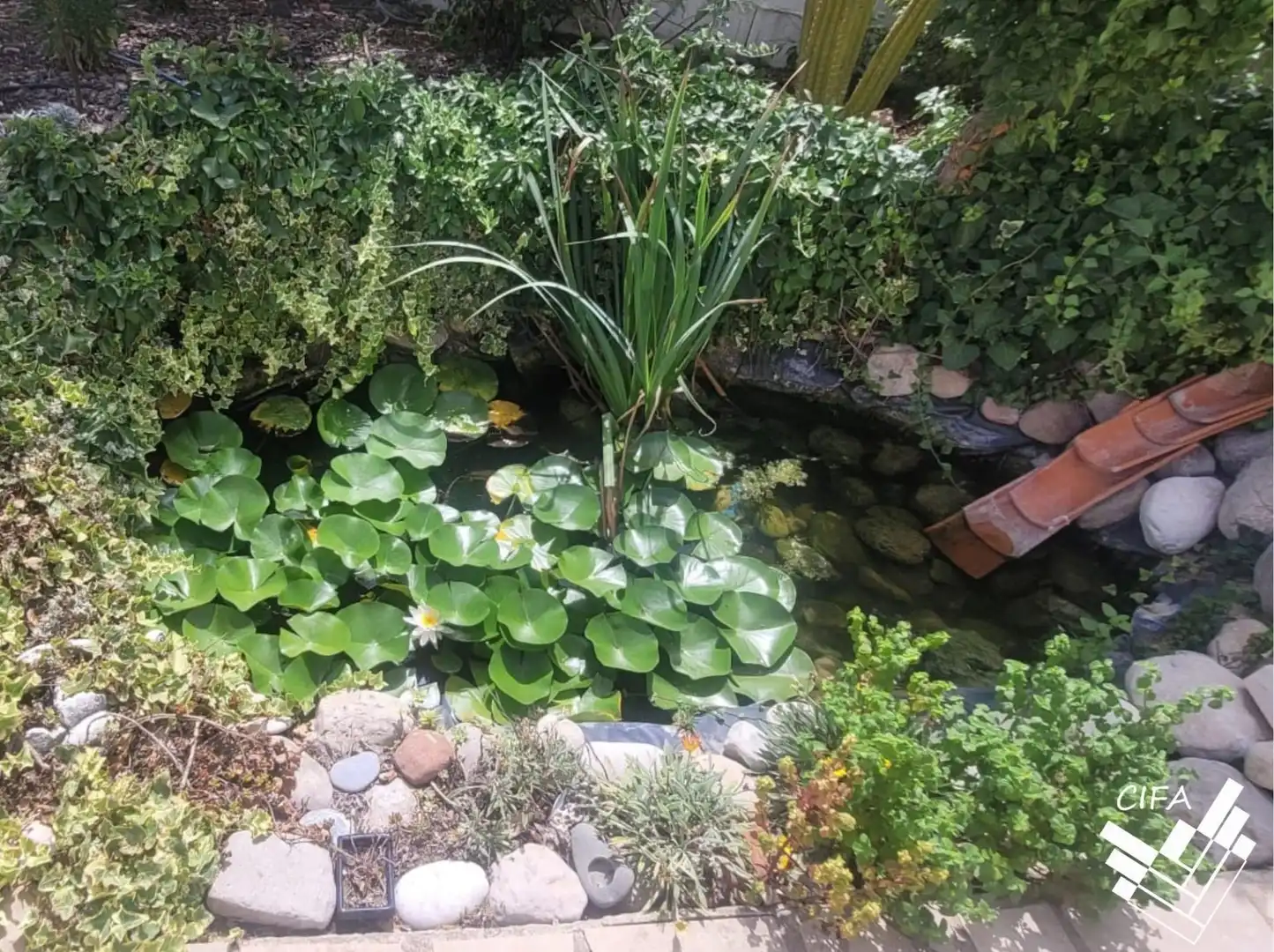 Casa rustica con piscina in vendita a Partida MOLES LES, imagen 27