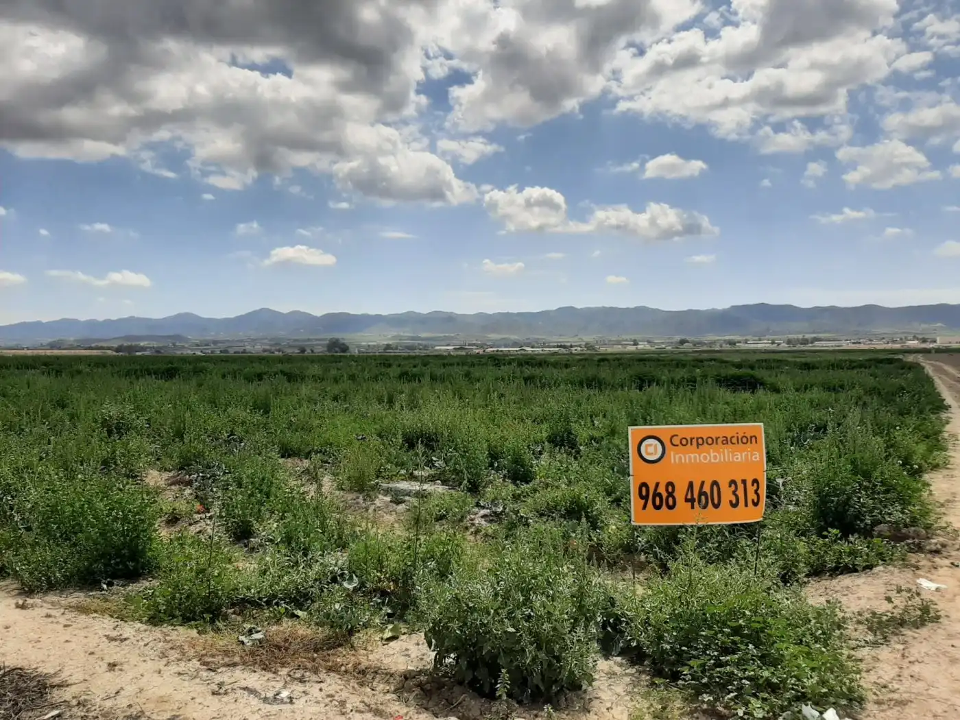 Terreny residencial en venda a Pedanías Centro