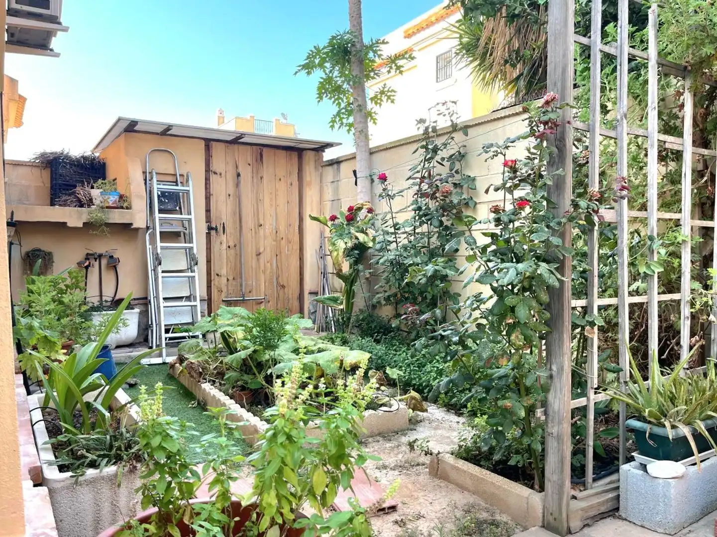 Jardín de Casa adosada en venta en Rojales con Aire acondicionado, Jardín privado y Terraza