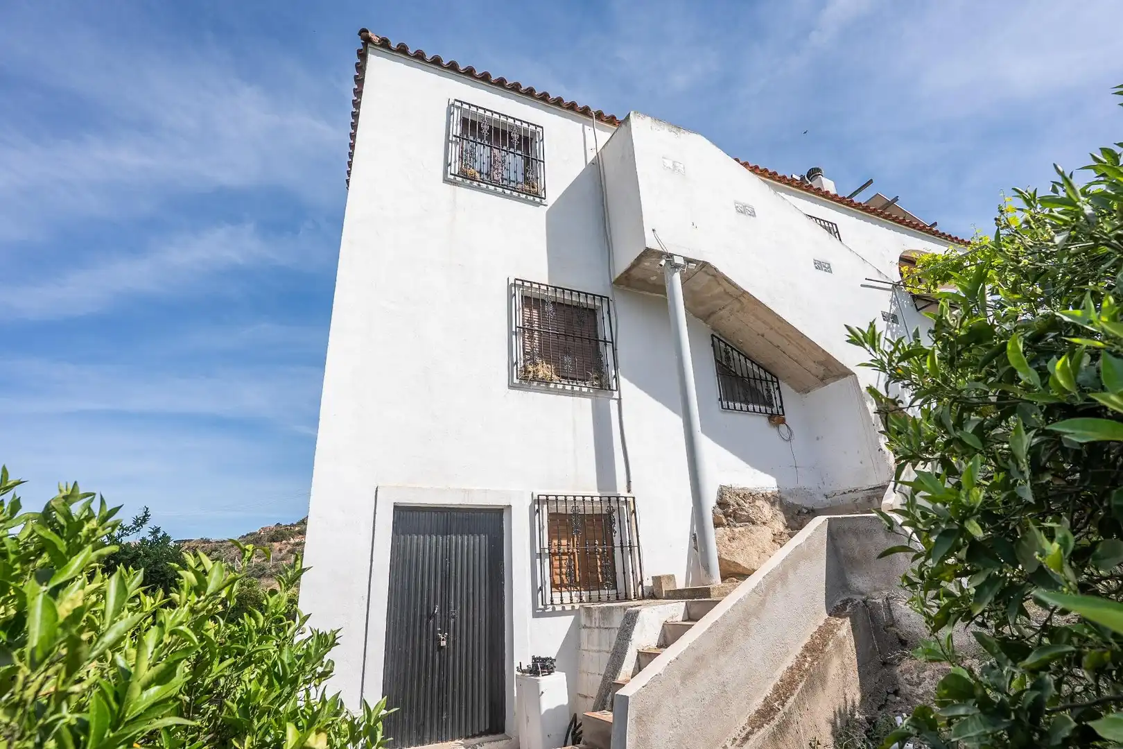Vista exterior de Casa o chalet en venta en Alhama de Almería con Jardín privado y Terraza