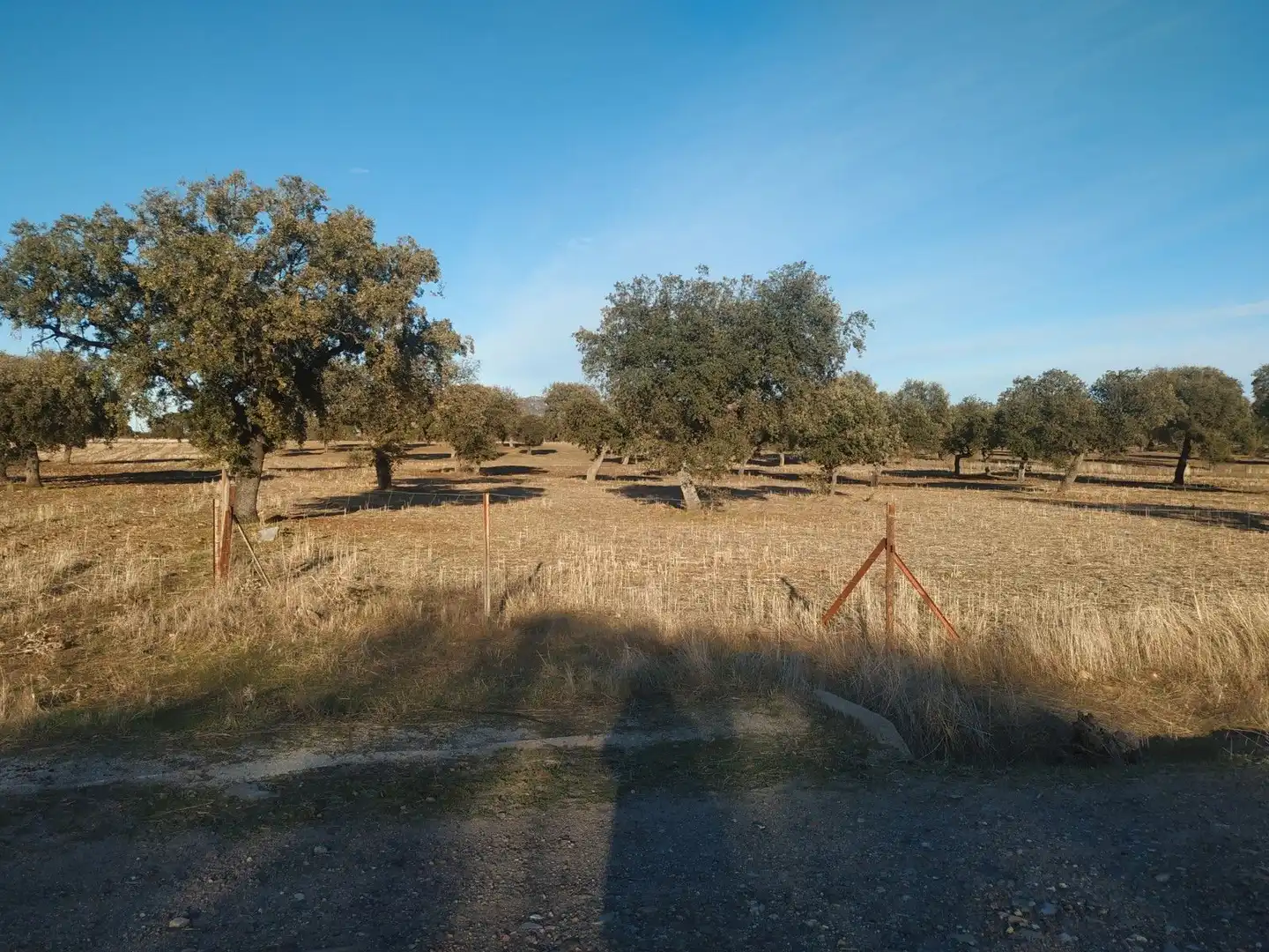 Residential land for sale in Benquerencia de la Serena, imagen 2