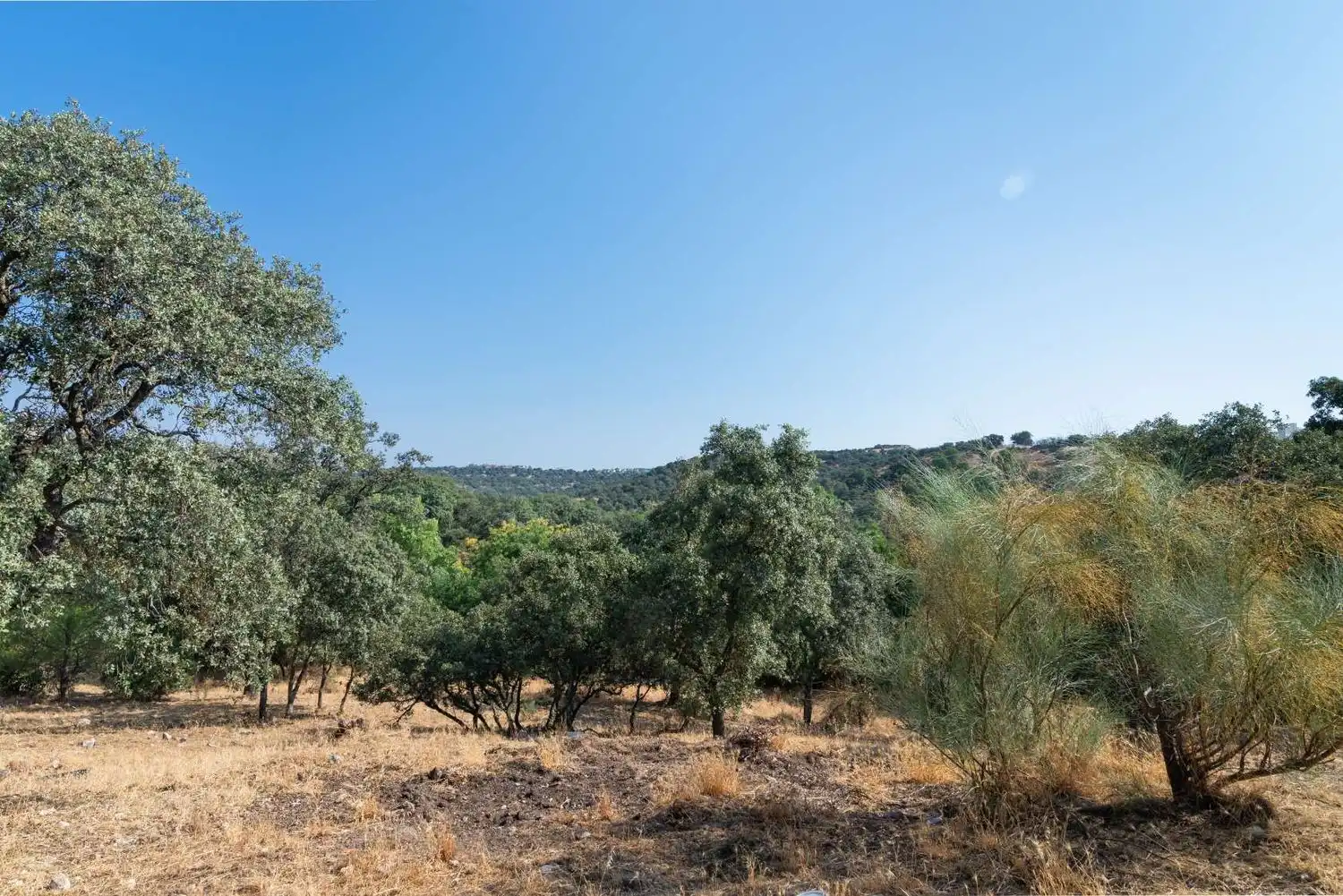 Chalet con piscina en venta en Molino de la Hoz, imagen 61
