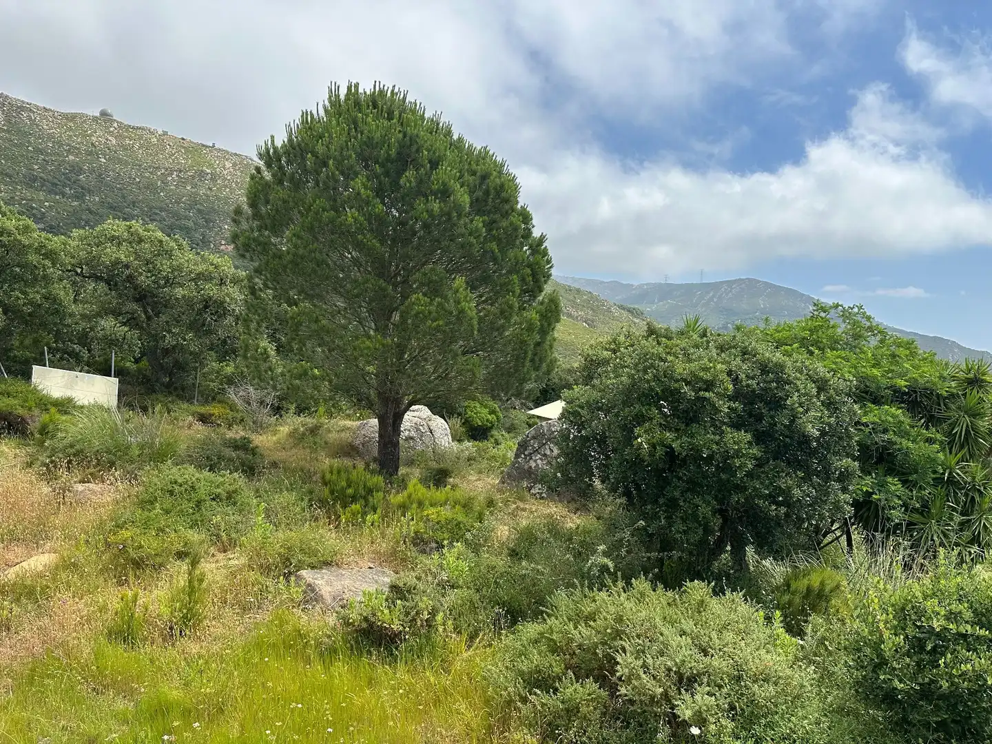 Terrenys i solars en venda a El Cuartón - El Bujeo, imagen 11