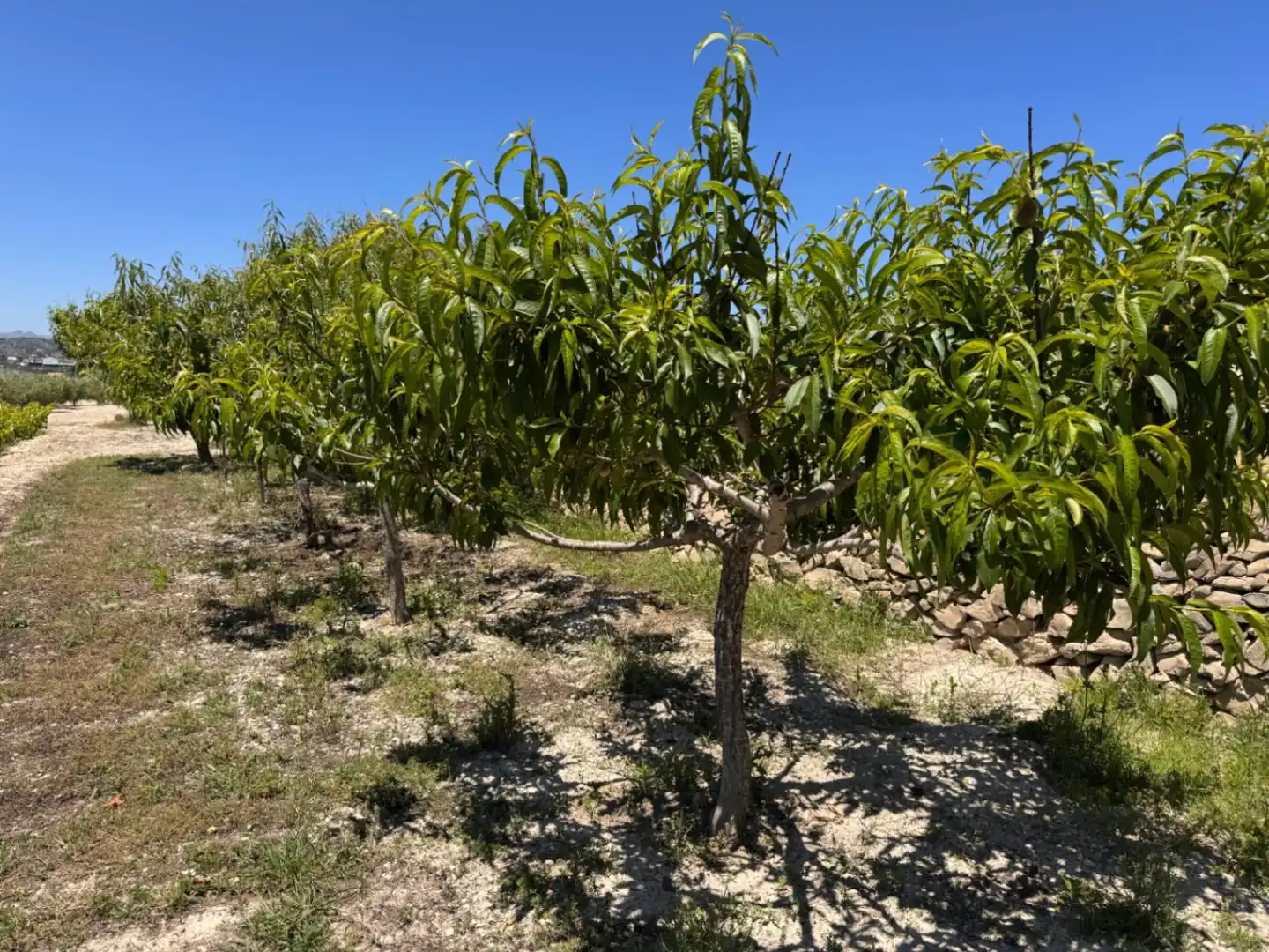 Finca rústica en venta en Benissa con Aire acondicionado, Calefacción y Jardín privado