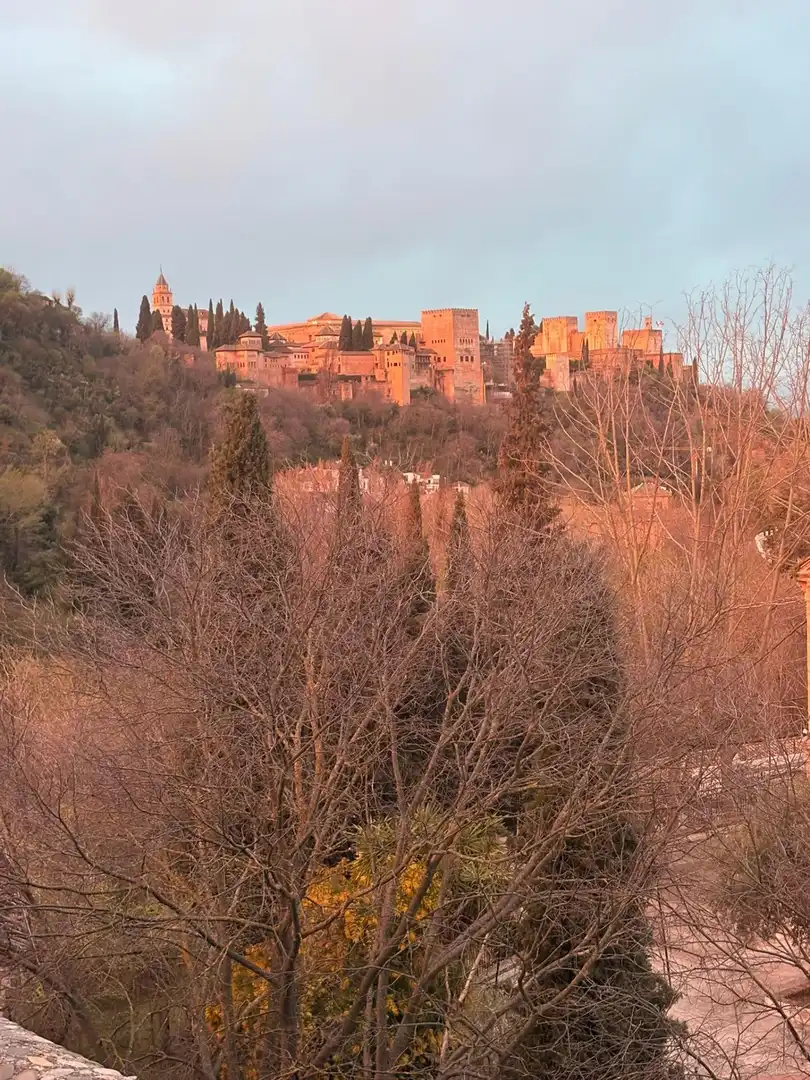 Maison avec terrasse à vendre à Camino DEL SACROMONTE, imagen 55