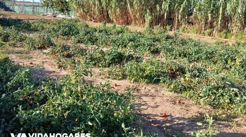 Foto 5 de Finca rústica en venda a Norte - Blanca Paloma, Cádiz