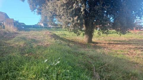 Photo 2 of Residential for sale in Avinguda de Castellar, 36, Can Font - Ca n'Avellaneda, Barcelona