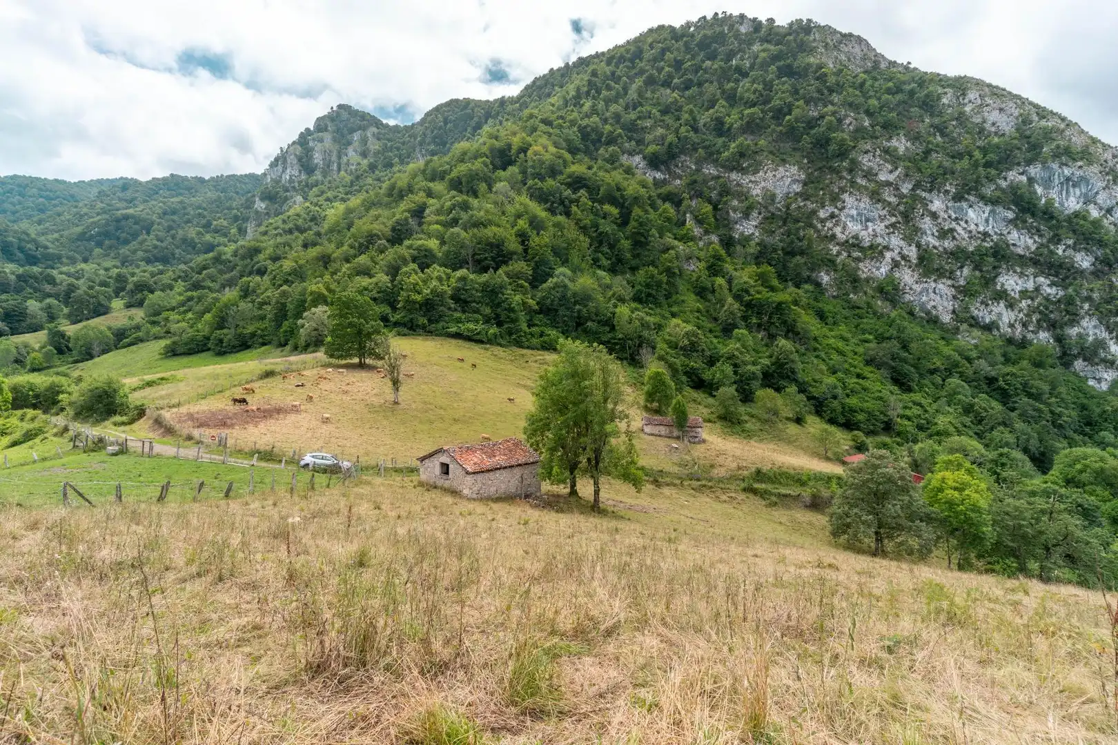 Houses for sale in Amieva
