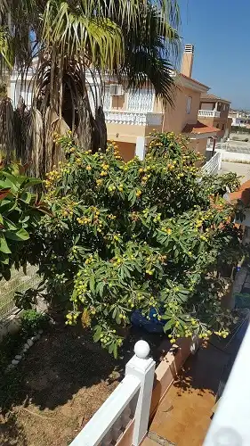 Villa avec terrasse à vendre à Camí de Cervera 5, imagen 31