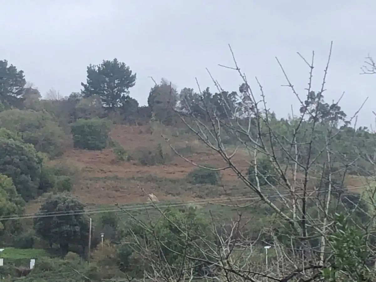 Terreno en venta en Urduliz