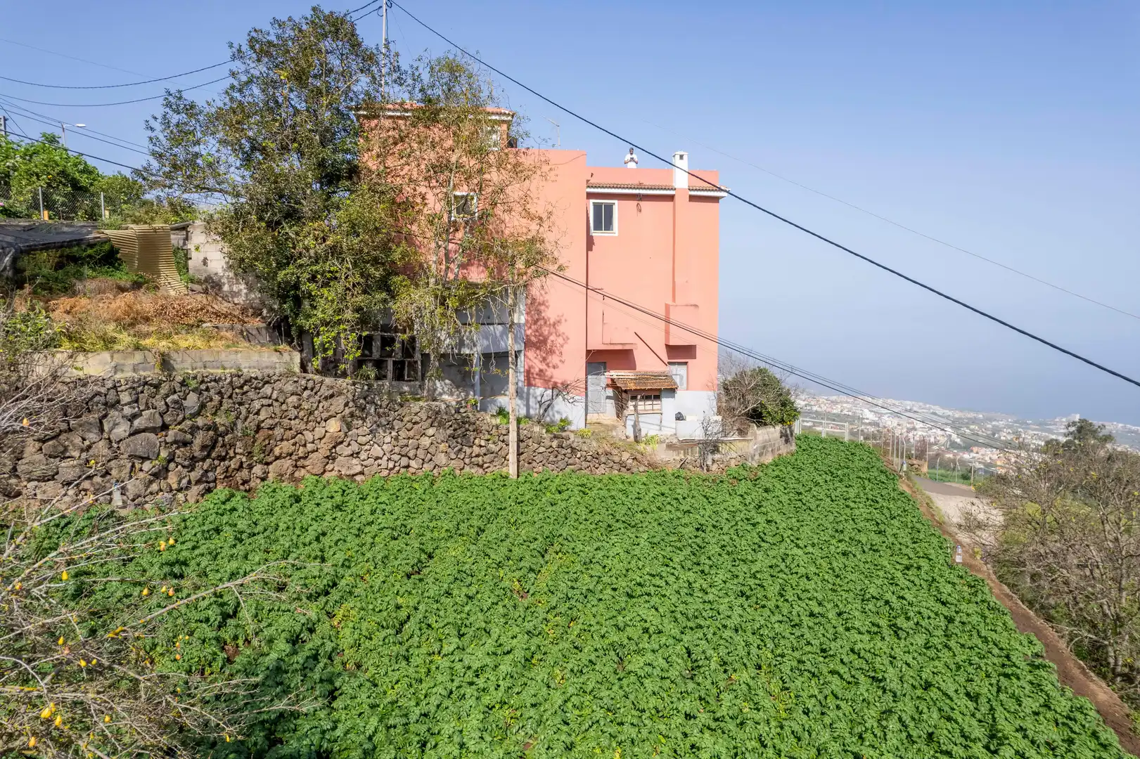 Vista exterior de Casa o chalet en venta en La Orotava con Jardín privado, Terraza y Trastero
