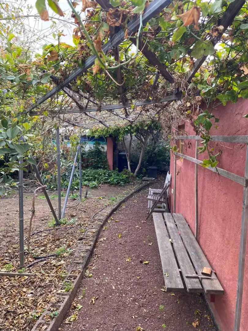 Jardí de Casa o xalet en venda en Buenavista del Norte