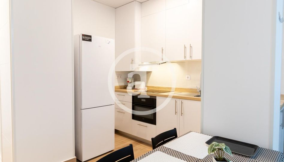 Estudio de alquiler en Calle de San Manuel, 3, Aluche - Imagen 4