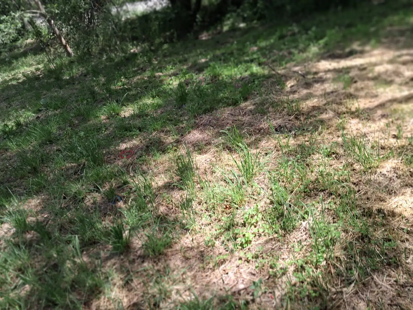 Rural land for sale in Calle del Concejo, imagen 15