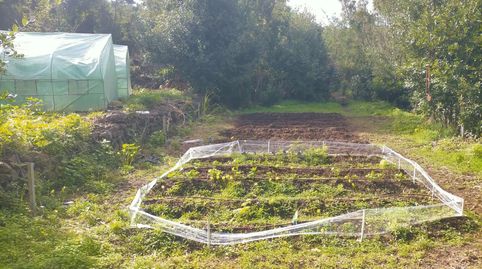 Foto 3 de Finca rústica en venda a Pista la Cancela, 97, El Tanque, Santa Cruz de Tenerife