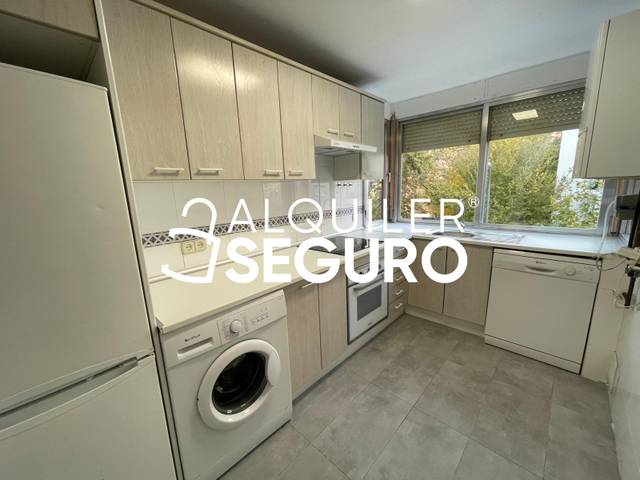 Piso en Alquiler en de Ayllón en Campamento