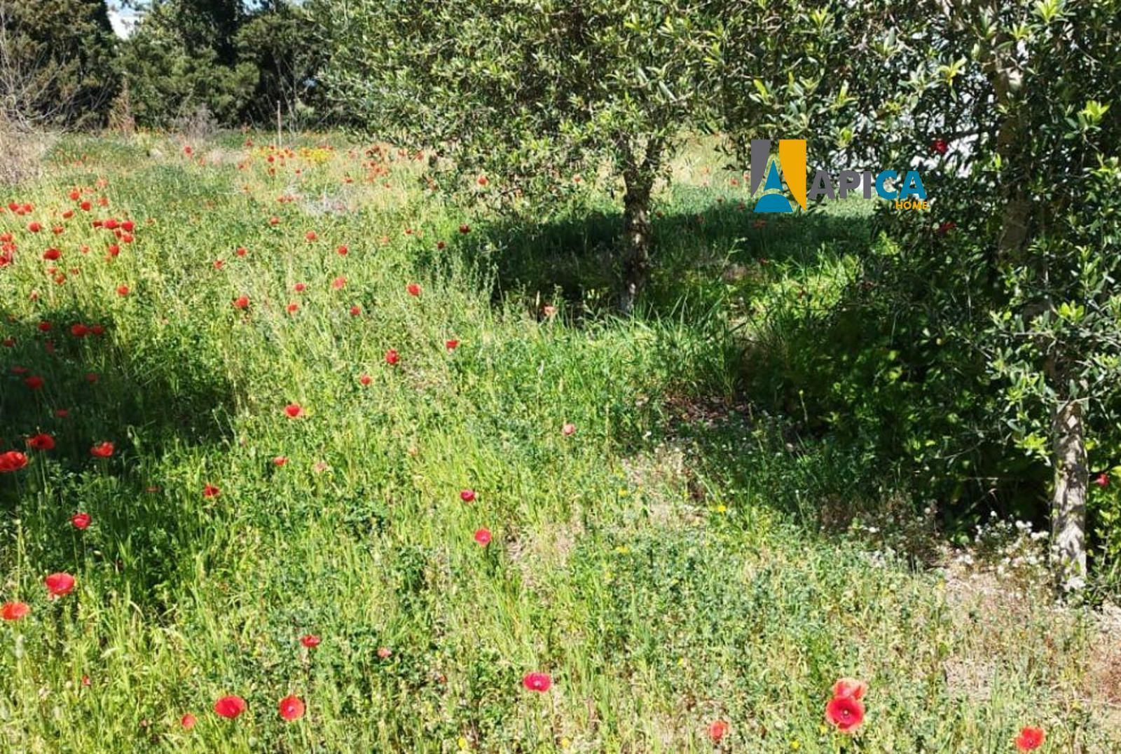 Casa o xalet en venda a Barbate ciudad