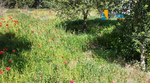 Foto 3 de Casa o xalet en venda a Barbate ciudad, Barbate