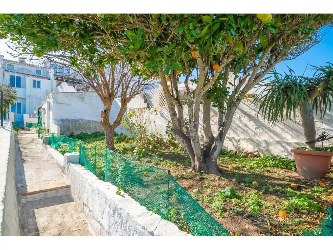 House with garden for sale in Maó ciutat, imagen 2