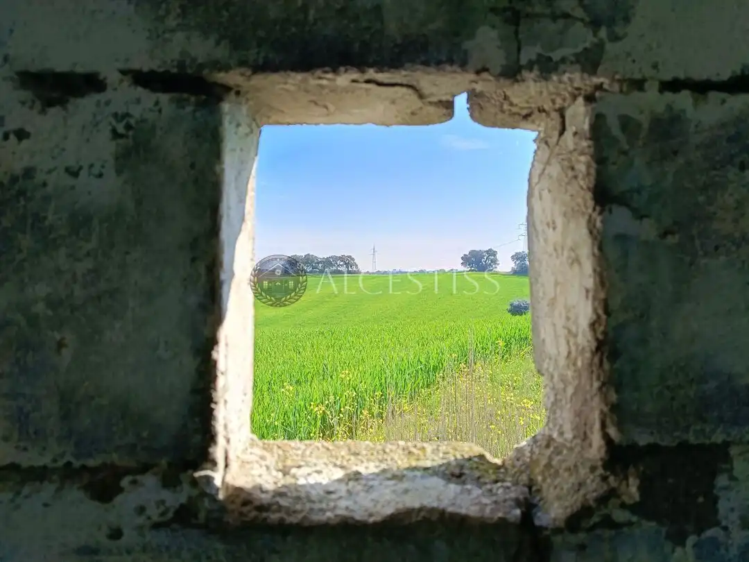 Grundstücke zum Verkauf in Méntrida