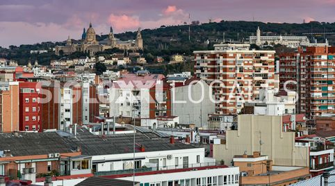 Photo 4 of Commercial properties for rent in Creu Coberta, Hostafrancs, Barcelona Capital