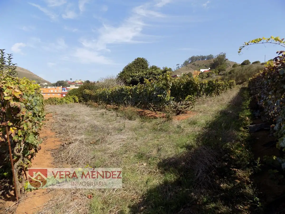Country homes for sale in Tacoronte