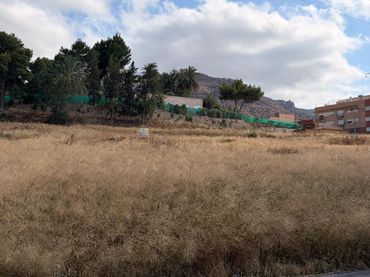 Rural land for sale in Pedanías Este