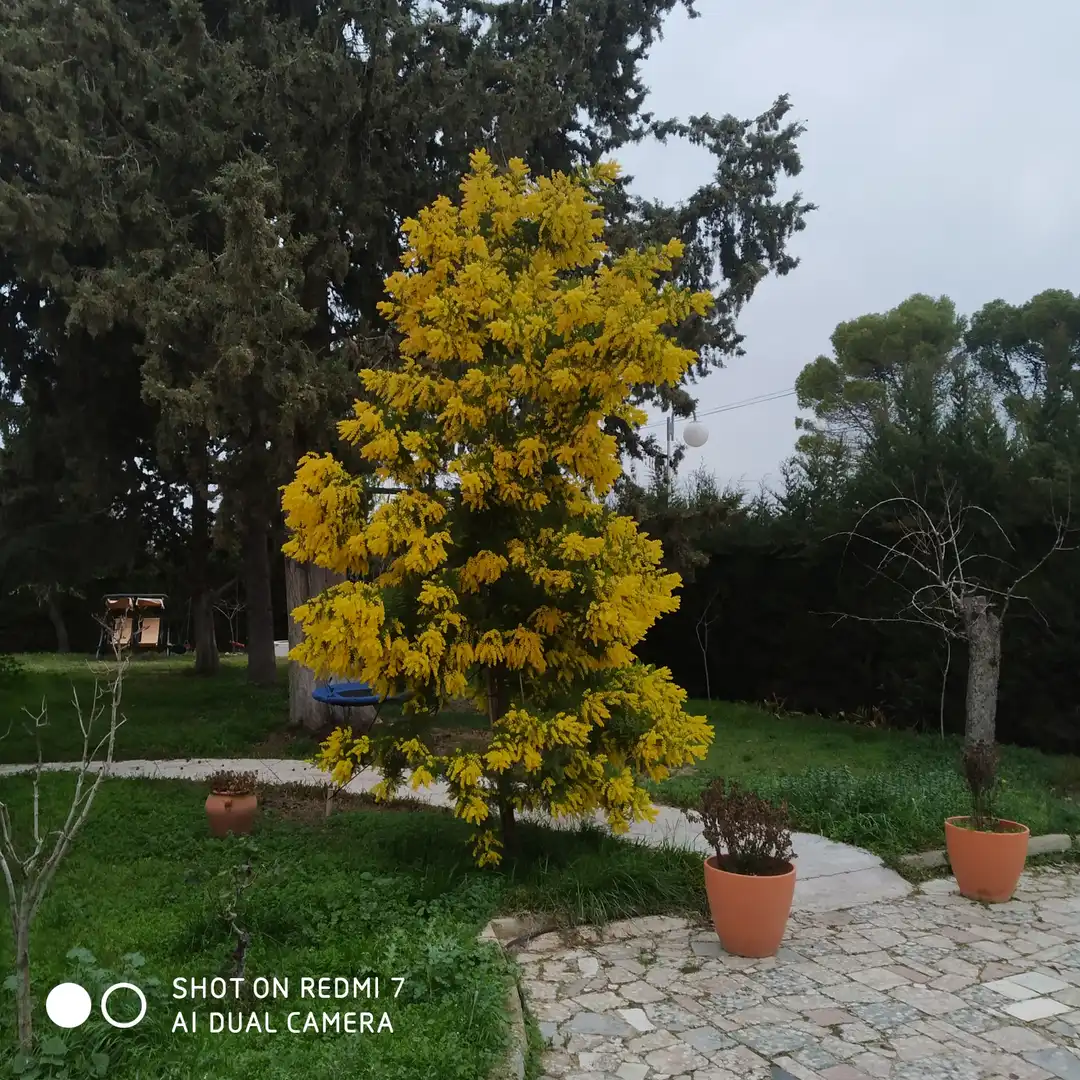 Xalet amb piscina en venda a Baeza, imagen 7