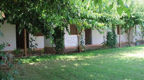 Foto 2 von Geschaftsraum zum Verkauf in Soledad, 10, Cózar, Ciudad Real