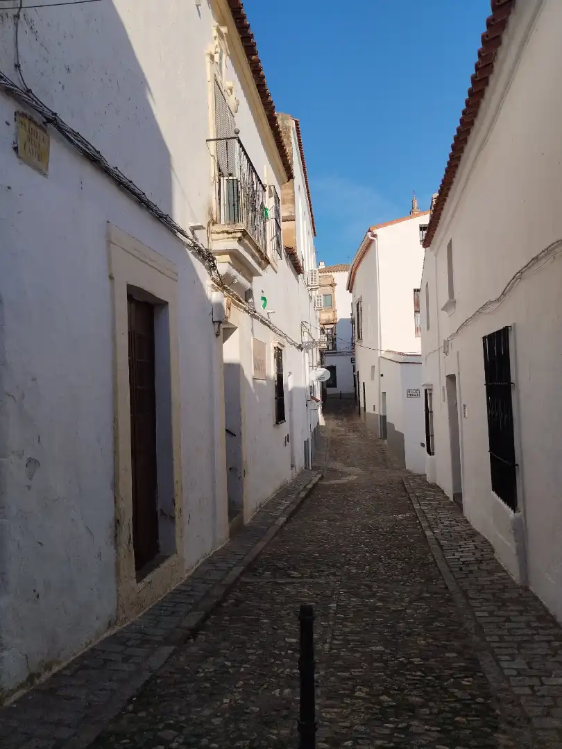 Local comercial en venda a Jerez de los Caballeros, imagen 5
