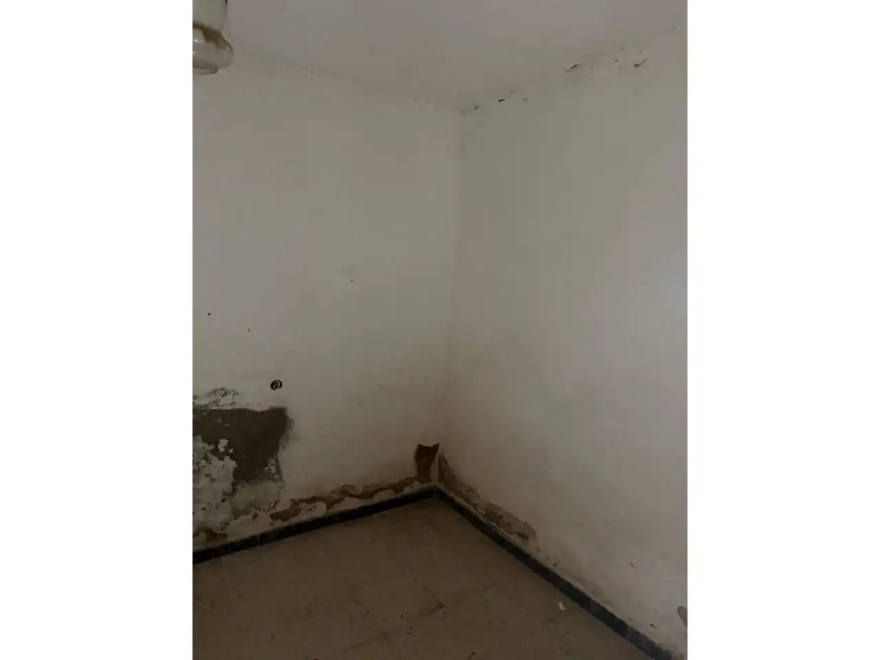 Casa adosada en venta en Segura de León