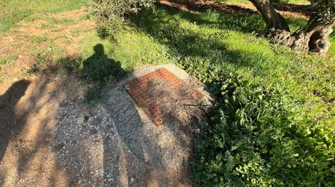 Photo 5 of Country house for sale in Centro, Málaga