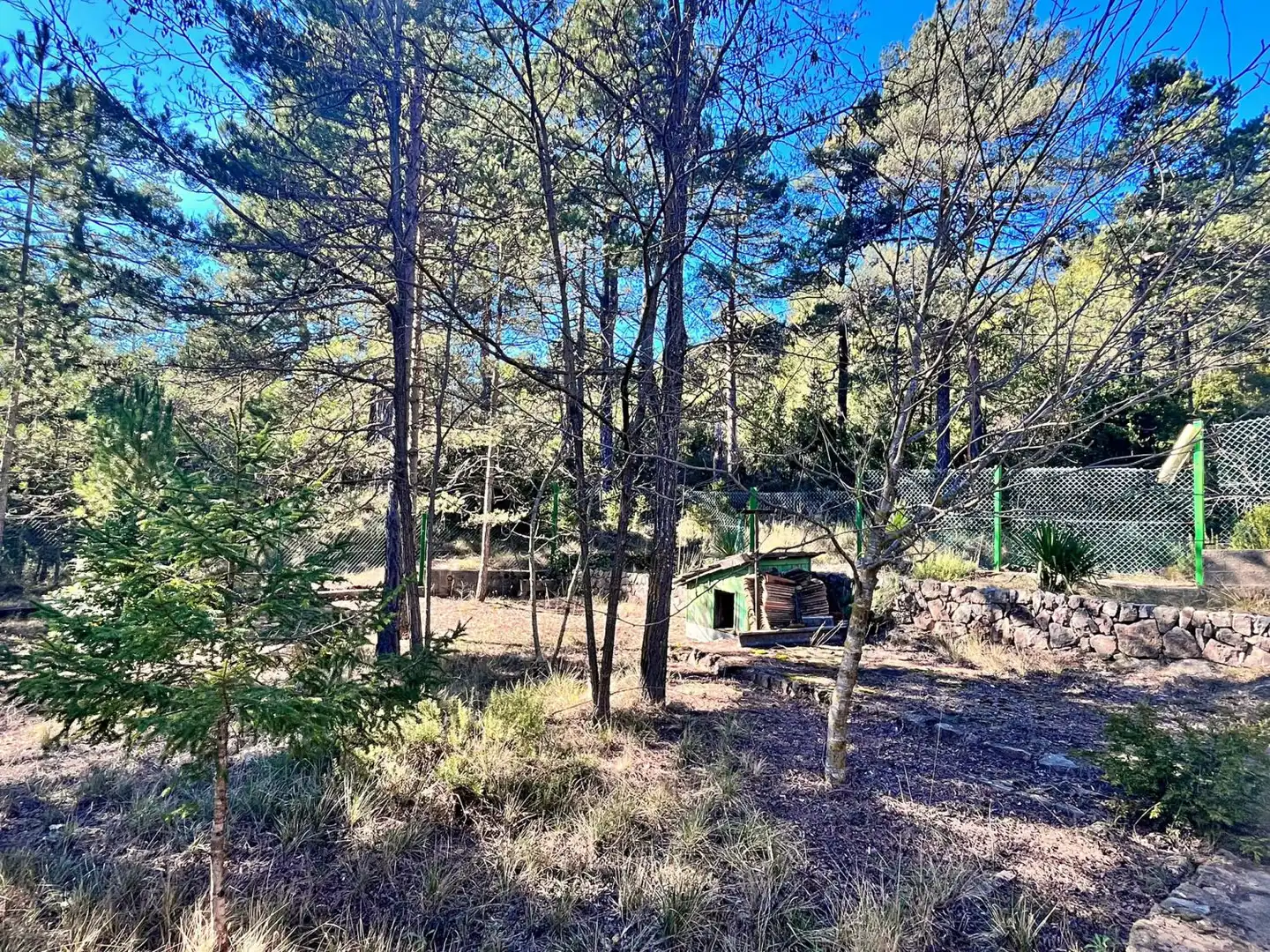 Villa avec terrasse à vendre à Roquetes, imagen 86